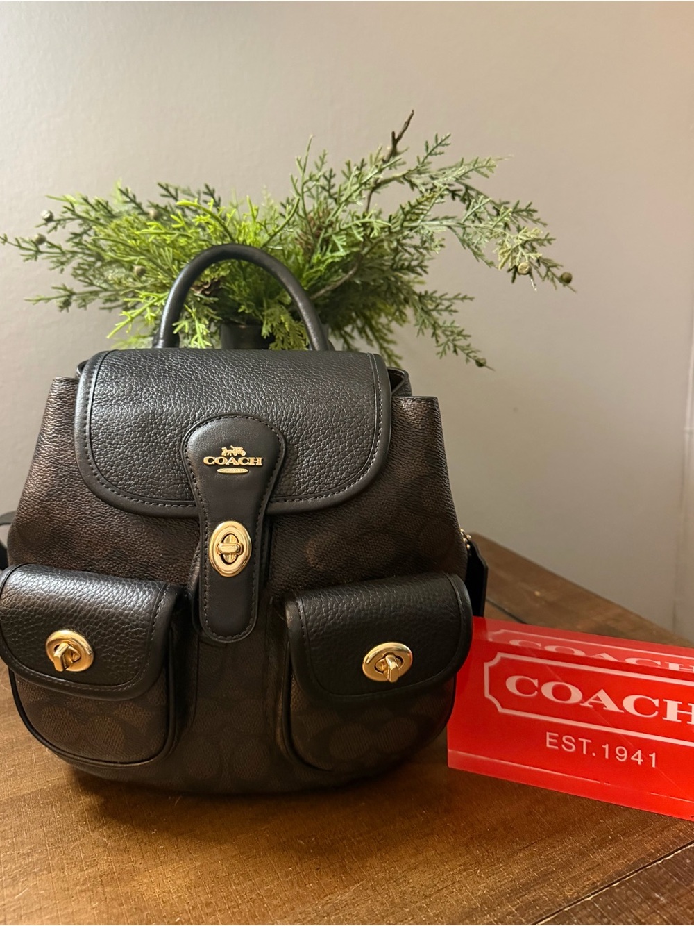 Coach Mini Hadley Backpack